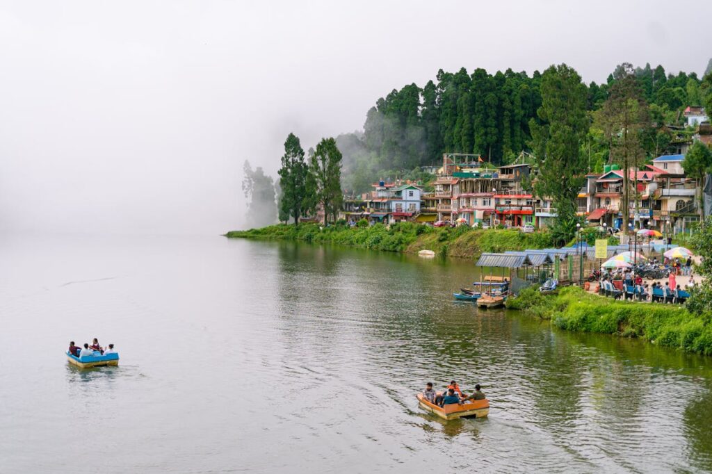 pexels photo 35283487.jpeg